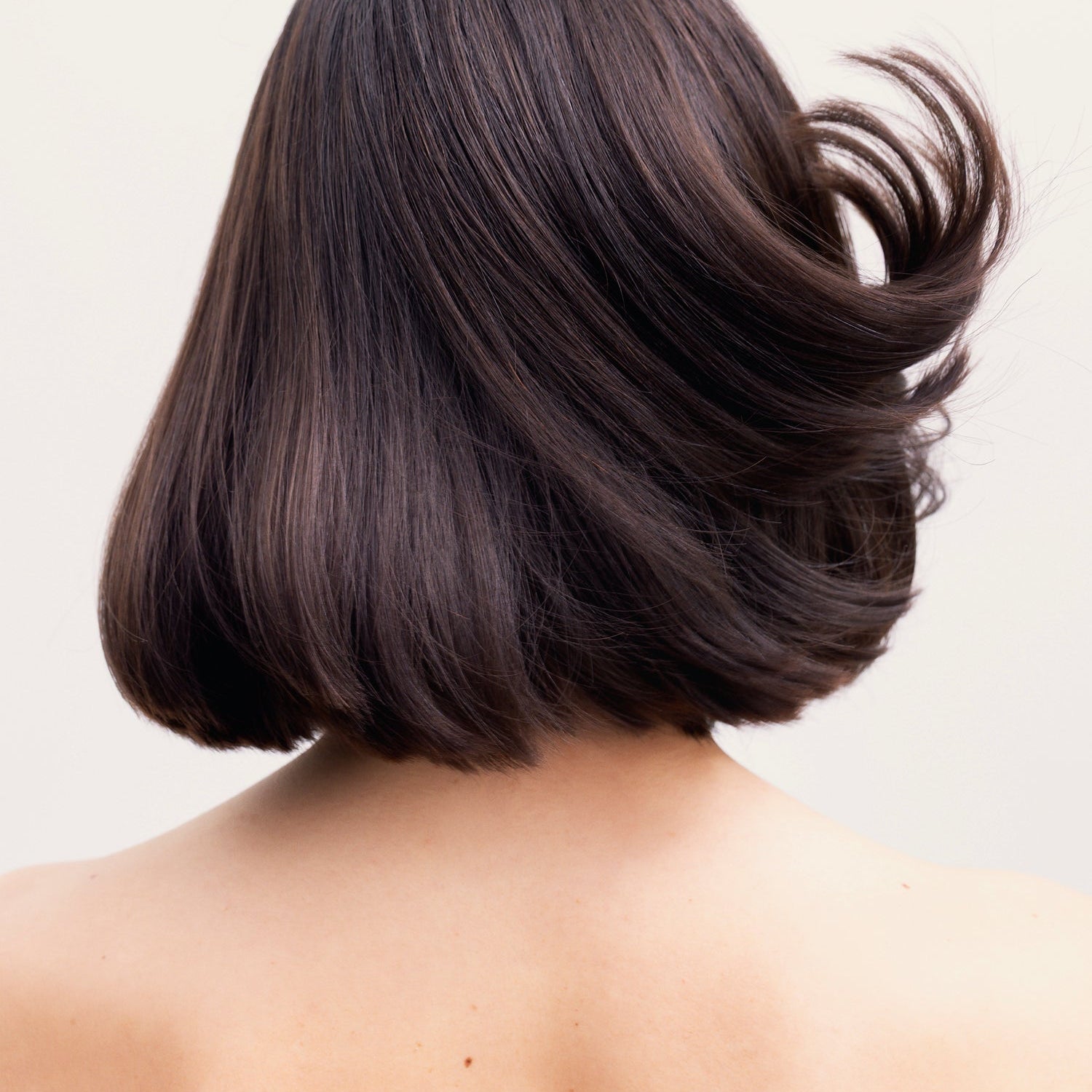 cheveux bruns courts de dos 