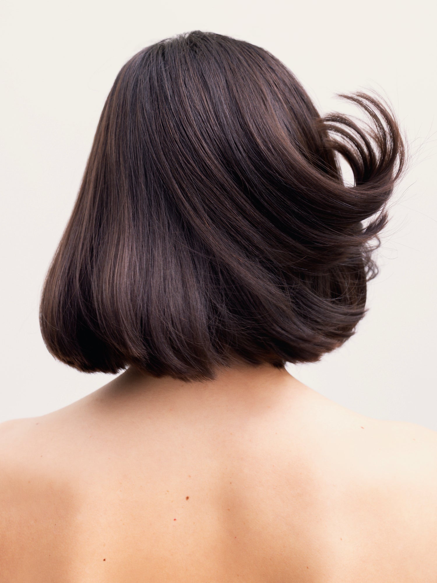 cheveux bruns courts de dos 