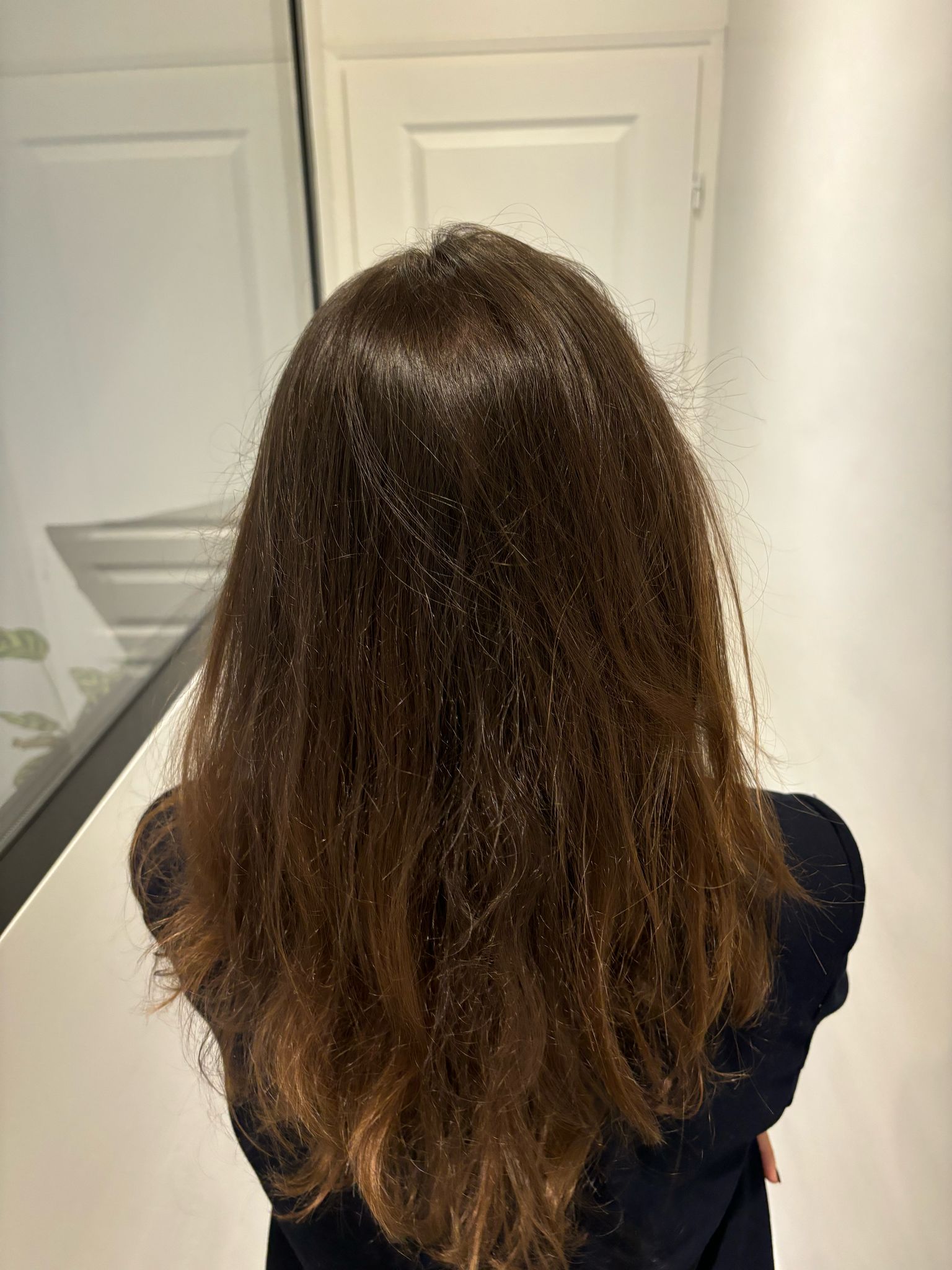 cheveux d'une femme de derrière