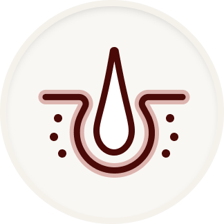 graphique follicule pileux 