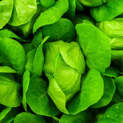 Vitamine B9